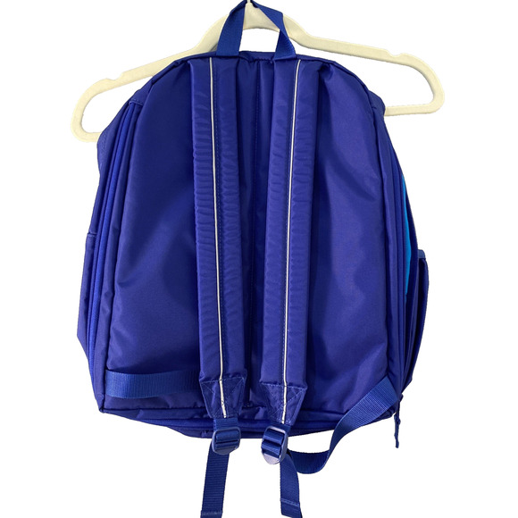 L L Bean original backpack, expandable, 30L, reflective, Gorpcore, durable - Picture 3 of 9